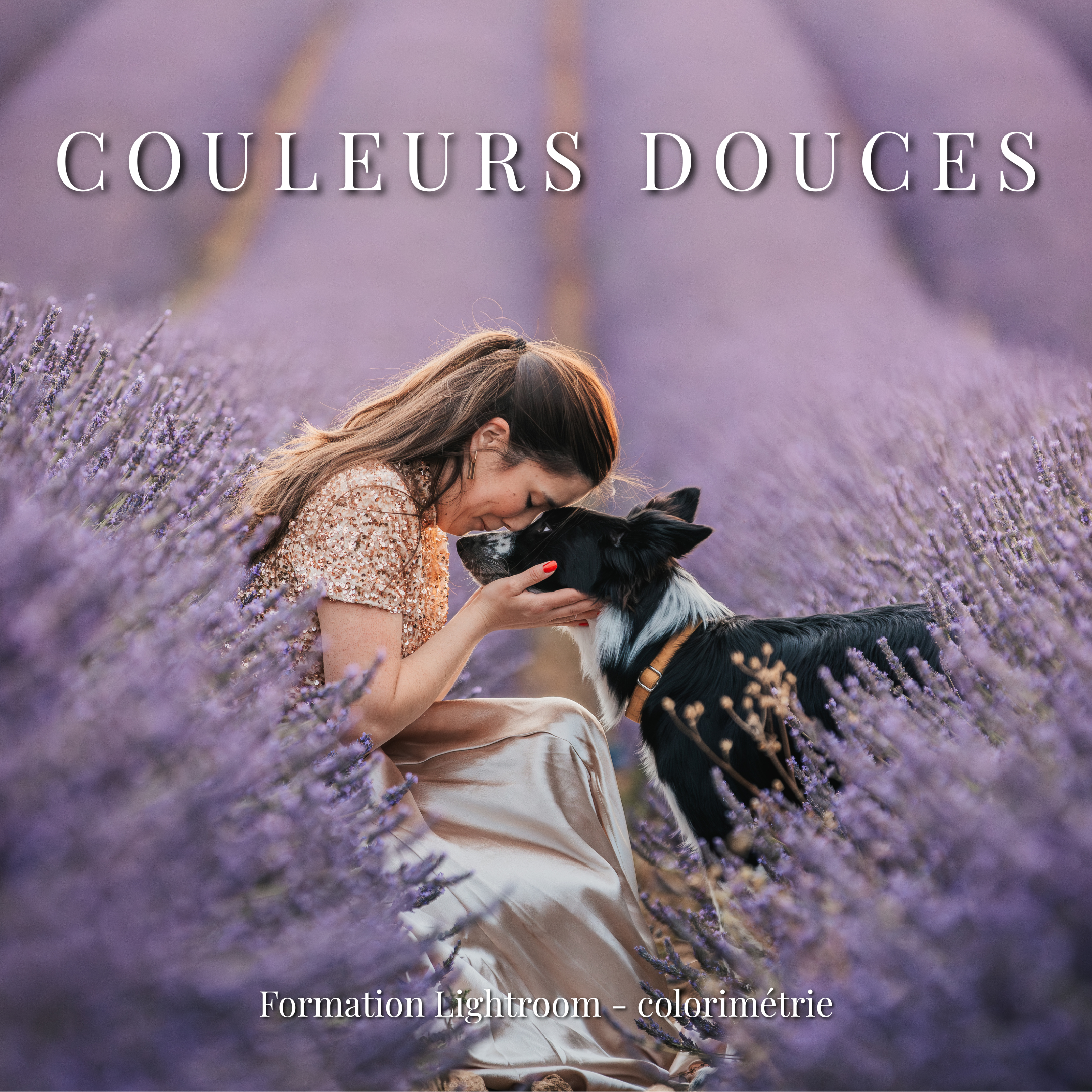 Colorimétrie et harmonie visuelle